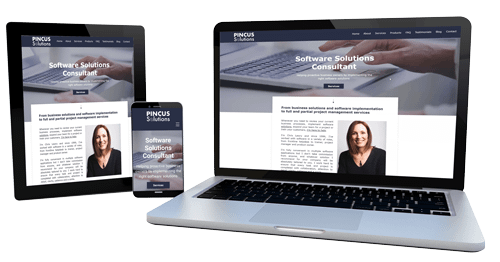 Pincus Solutions website design by Louise Maggs Design Pincus Solutions website design by Louise Maggs Design